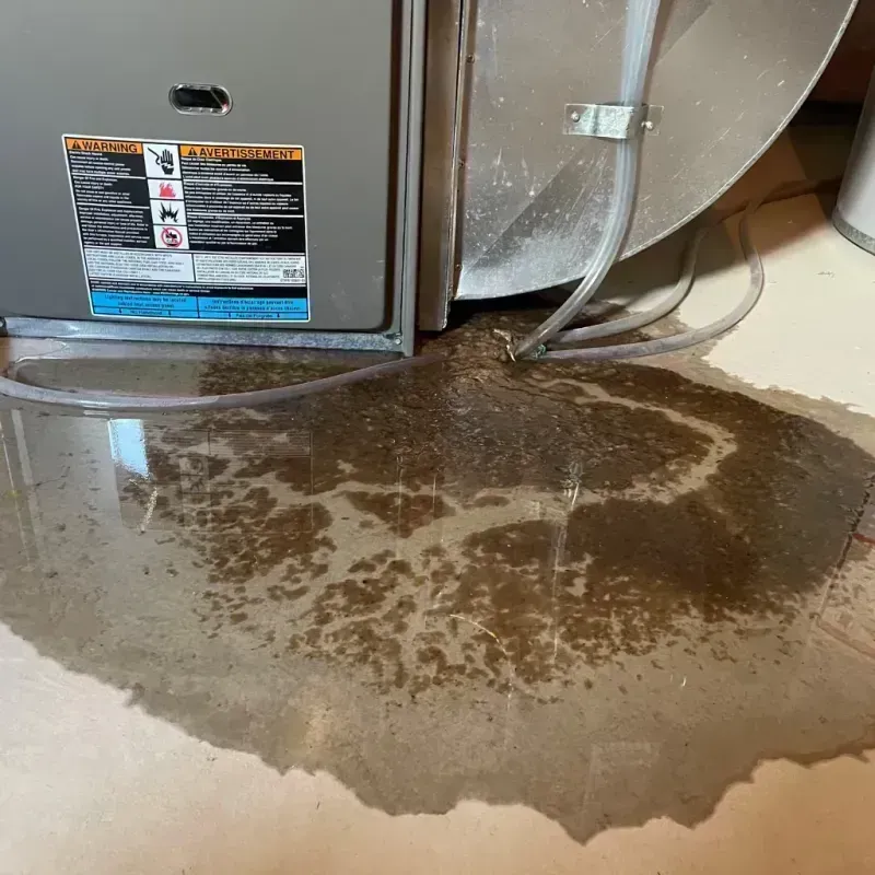 Appliance Leak Cleanup in Orange, TX